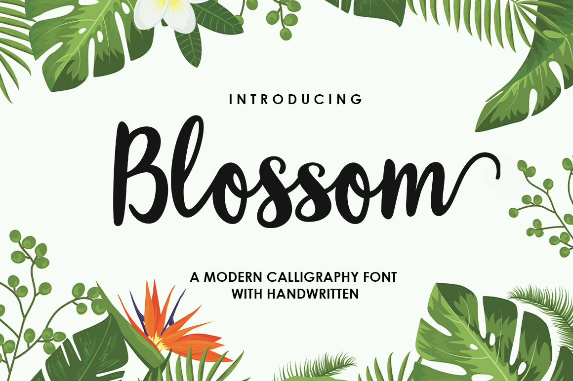 Blossom Script Font: Elevate Your Brand Typography
