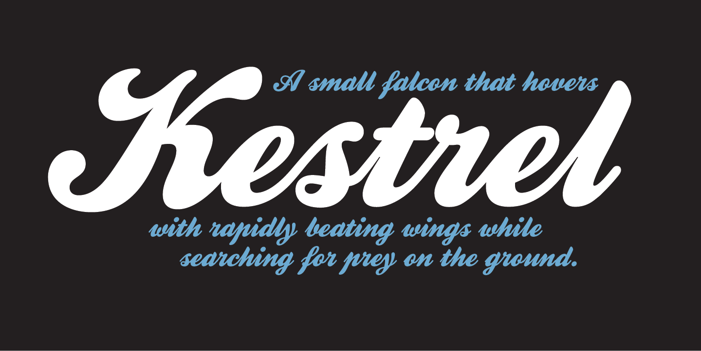 Kestrel Script Font for Small Business Branding