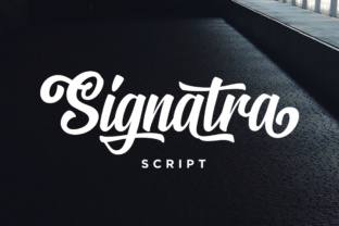 Signatra Script: A Bold Typeface for Campaigns