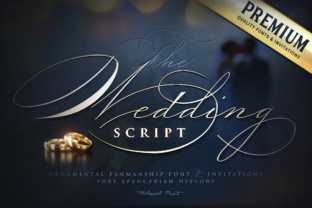 Wedding Script: The Elegant Typeface for Campaigns